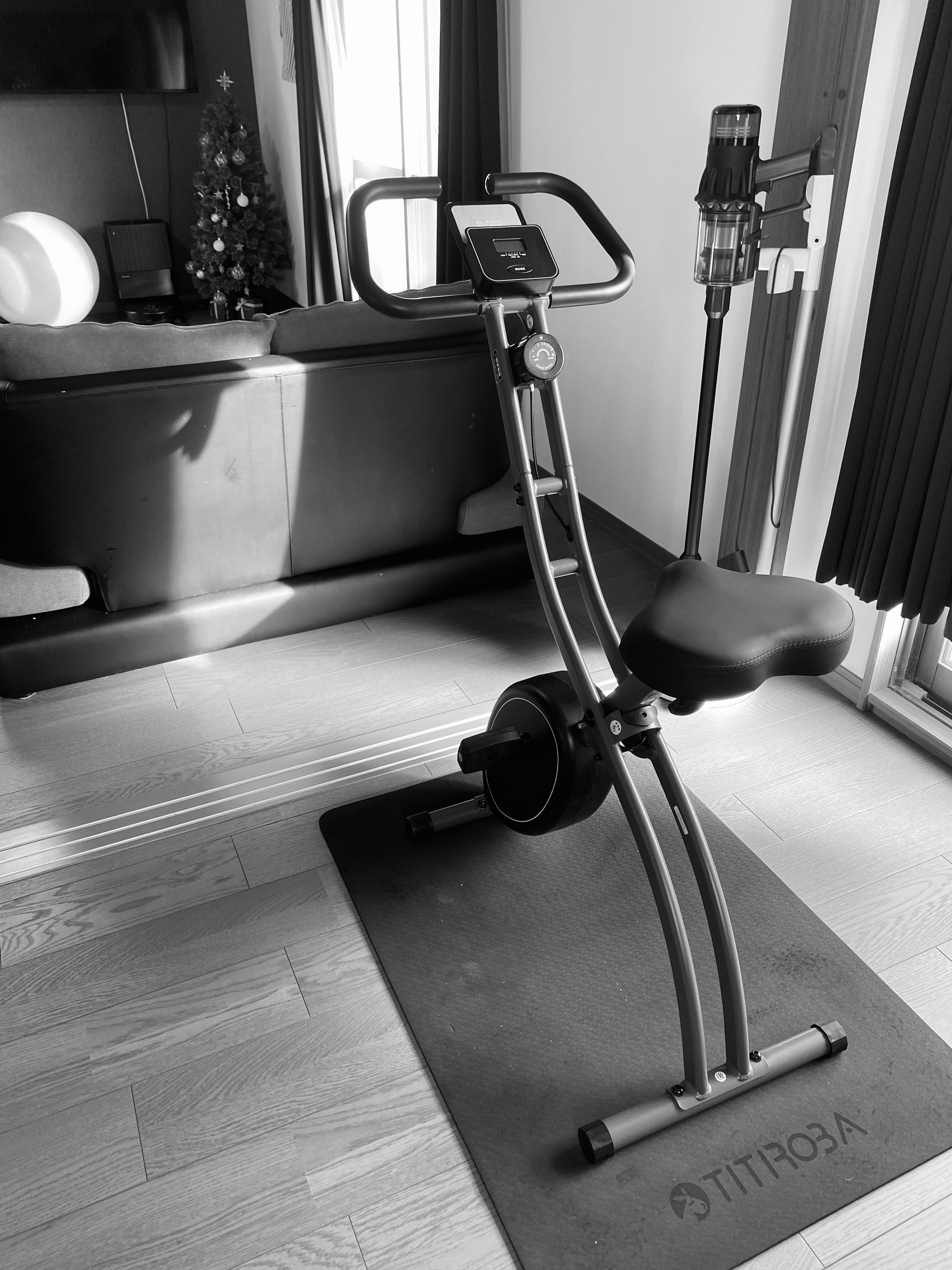 my alinco fitness bike